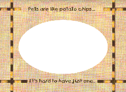 Pet Potato
